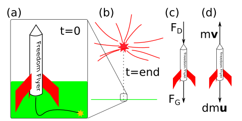 Initial condition of firework with FBD and sum of momentum