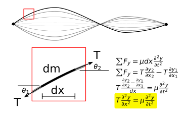 Free body diagram and resulting equation of motion for a string